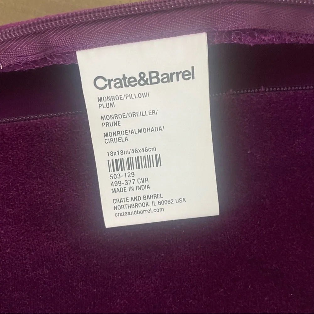 Crate & Barrel Velvet Pillow
